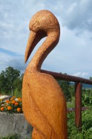 /album/fotogalerie/zviratka-096-jpg/